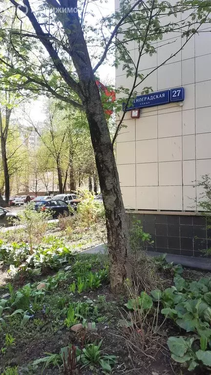 1-комнатная квартира: Москва, Зеленоградская улица, 27к4 (35.1 м) - Фото 0