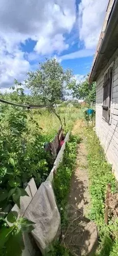 Дом в Татарстан, Зеленодольск Вишневая ул. (16 м) - Фото 1