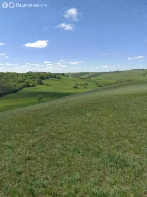 Участок в Курдюм, улица Пономарёва (6 м) - Фото 2