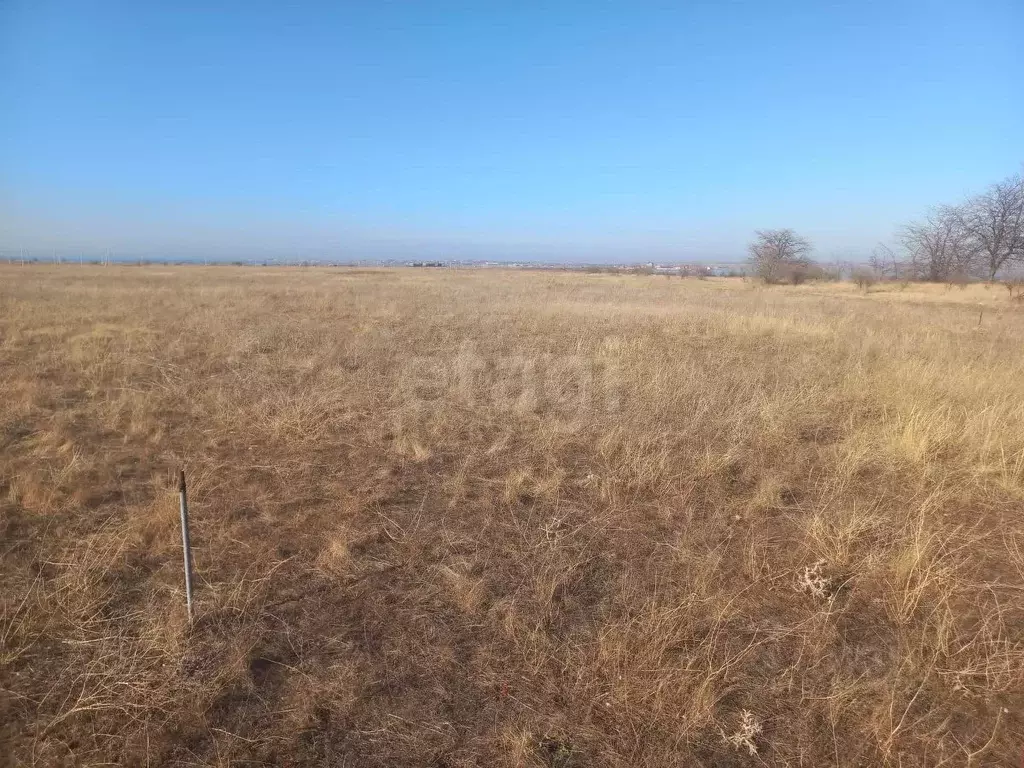 Участок в Крым, Черноморский район, с. Межводное ул. Солнечная (4.93 ... - Фото 0