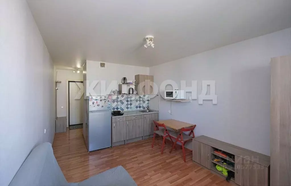 1-к кв. Новосибирская область, Новосибирск ул. Виктора Уса, 9 (20.0 м) - Фото 1
