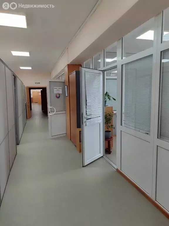 Офис (219.6 м) - Фото 2