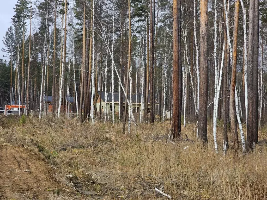 Участок в Иркутская область, Иркутский район, Ушаковское муниципальное ... - Фото 1