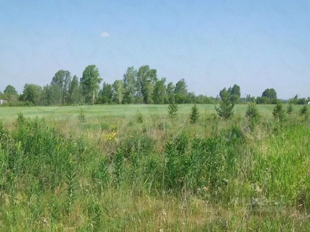 Участок в Московская область, Одинцовский городской округ, д. ... - Фото 0