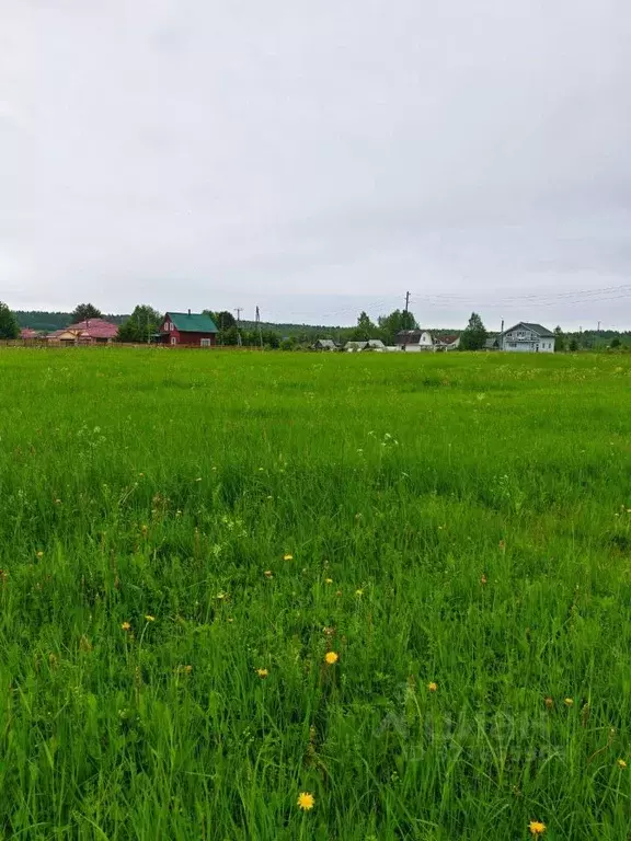 Участок в Карелия, Кондопожский район, Новинское с/пос, д. Голышева ... - Фото 1