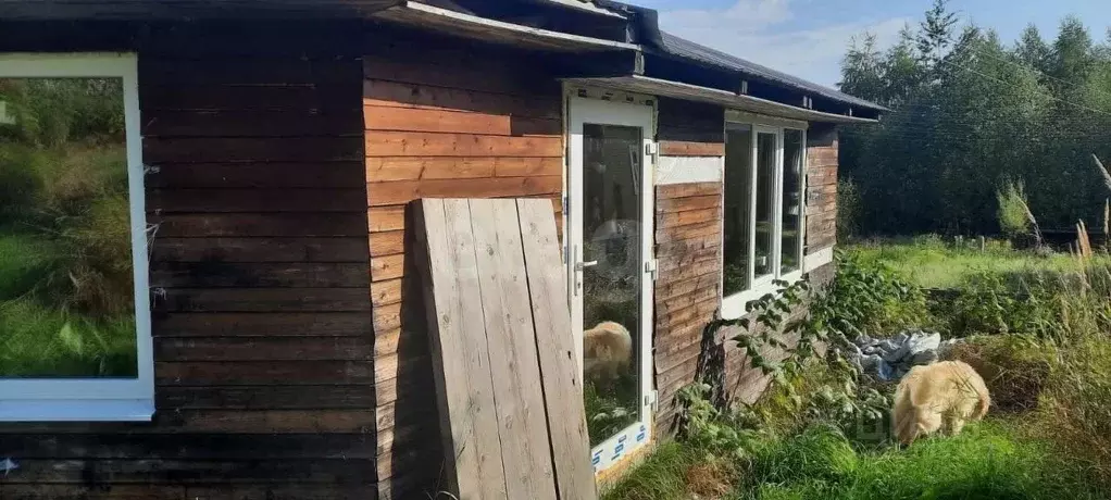 Дом в Архангельская область, Котласский муниципальный округ, Шипицыно ... - Фото 1