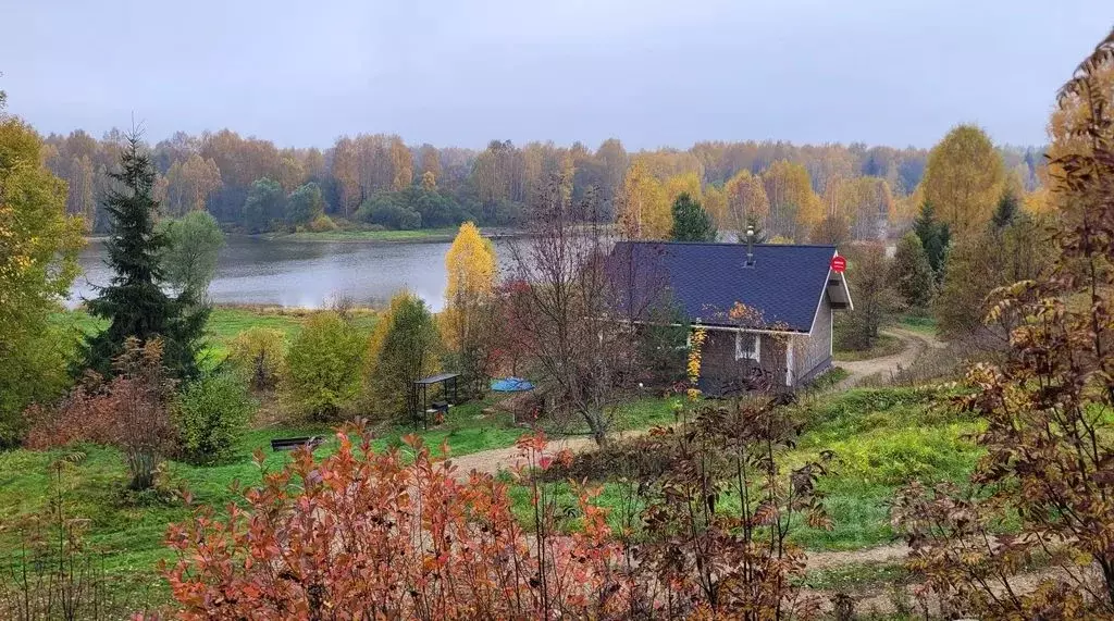 Дом в Ярославская область, Брейтовский муниципальный округ, ... - Фото 2