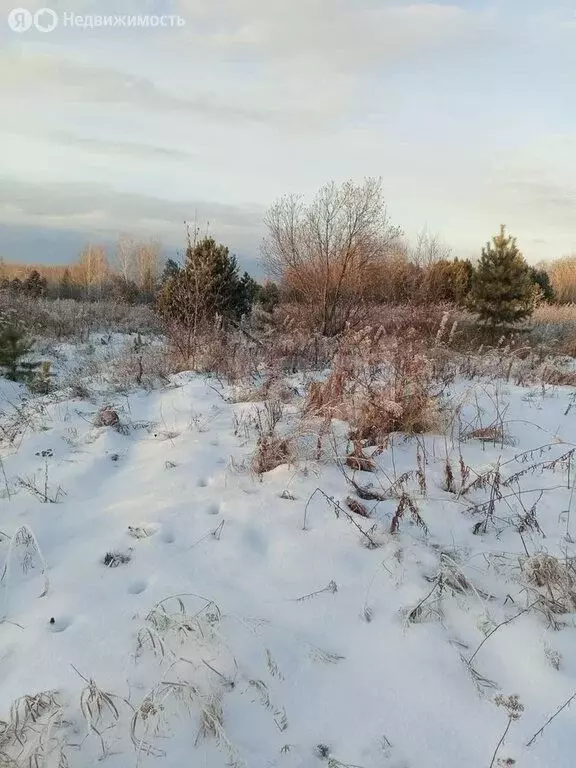 Участок в Заводоуковск, садовое общество Озерки (15 м) - Фото 1