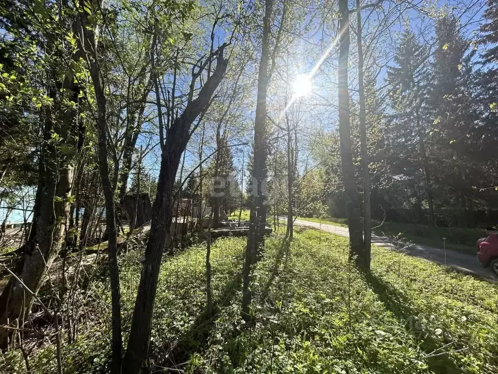 Участок в Московская область, Клин городской округ, Лесной ДСК  (12.0 ... - Фото 1