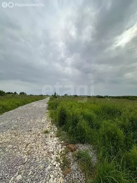 Участок в Тульская область, городской округ Тула, посёлок Молодёжный ... - Фото 1