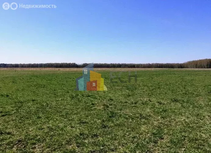 Участок в Белёвский район, сельское поселение Правобережное (61 м) - Фото 1