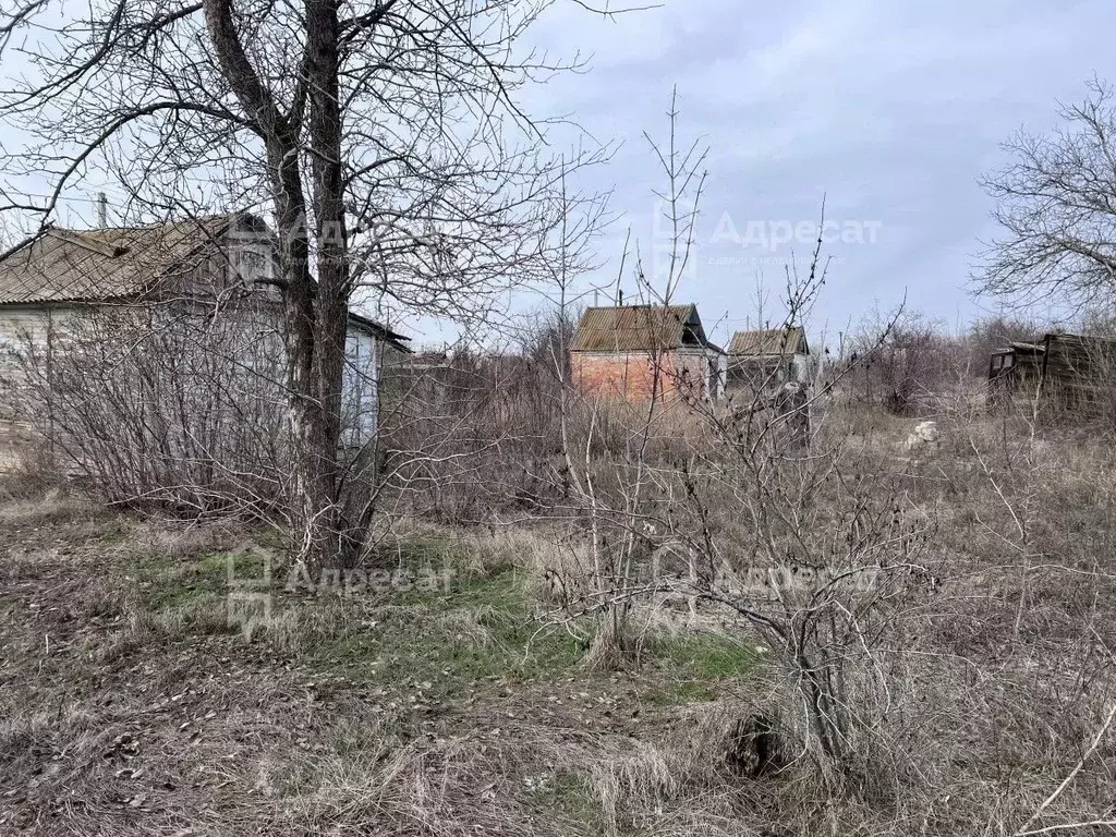 Участок в Волгоградская область, Волгоград Нефтяник СНТ,  (15.0 сот.) - Фото 1