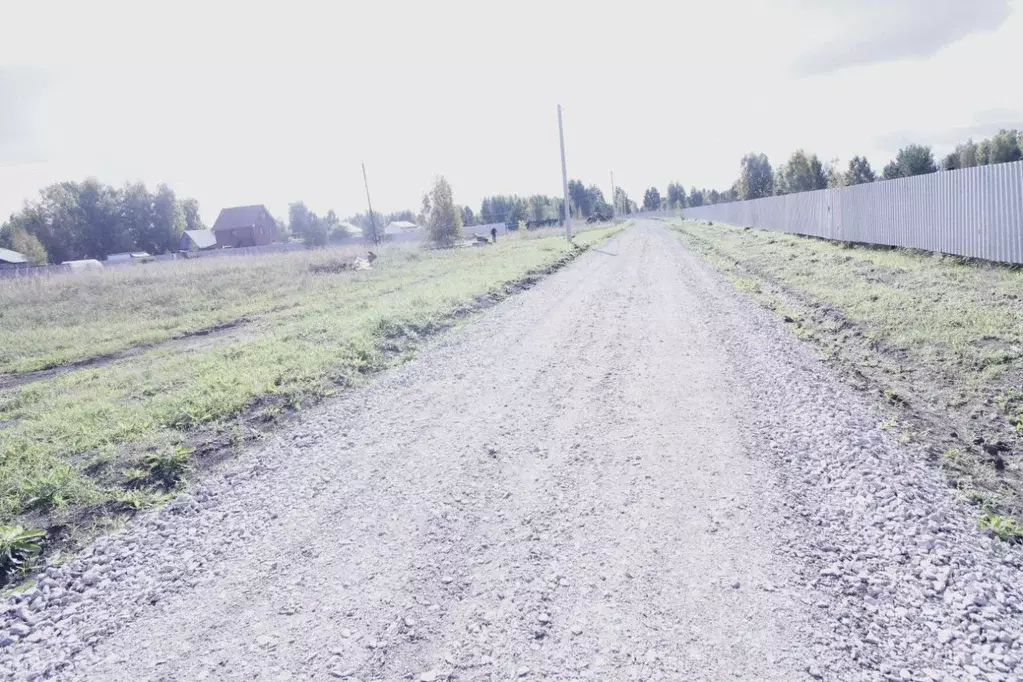 Участок в Новосибирская область, Коченевский район, Прокудский ... - Фото 1