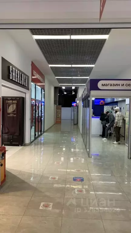 Торговая площадь в Саратовская область, Саратов ул. Имени Н.Г. ... - Фото 2