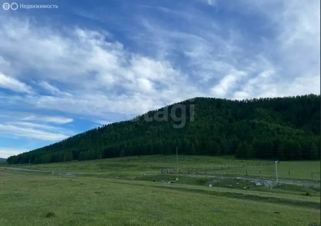 Участок в Онгудайский район, село Кара Кобы (300 м) - Фото 0