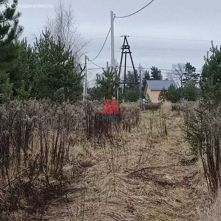 Участок в Ярославский муниципальный округ, деревня Боровая, Уютная ... - Фото 1