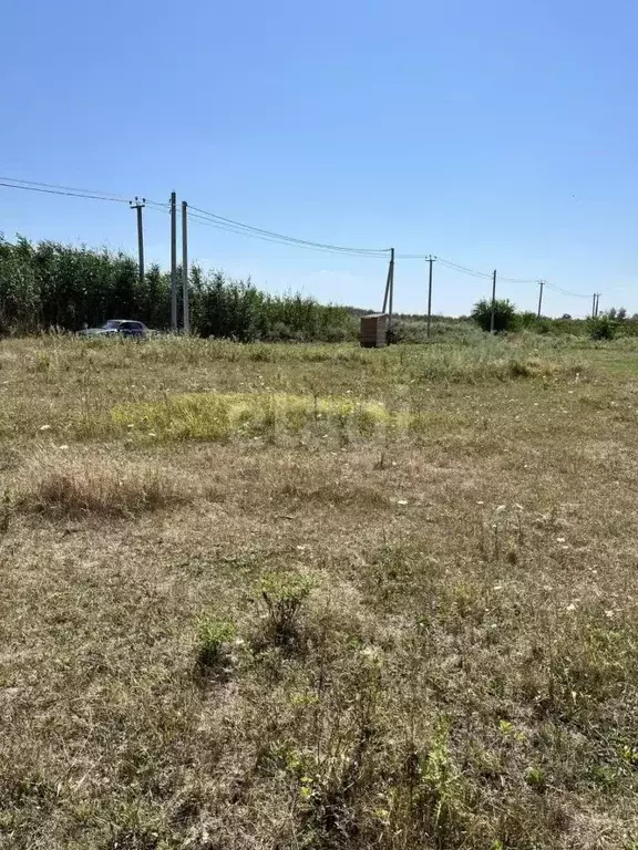 Участок в Ростовская область, Азовский район, Обильненское с/пос, ... - Фото 1