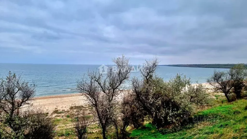 Помещение свободного назначения в Крым, Ленинский район, Семисотское ... - Фото 2