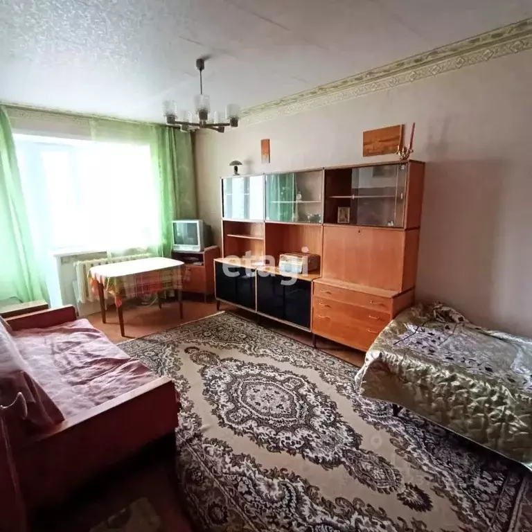 1-к кв. Владимирская область, Петушки ул. Строителей, 12 (30.1 м) - Фото 1