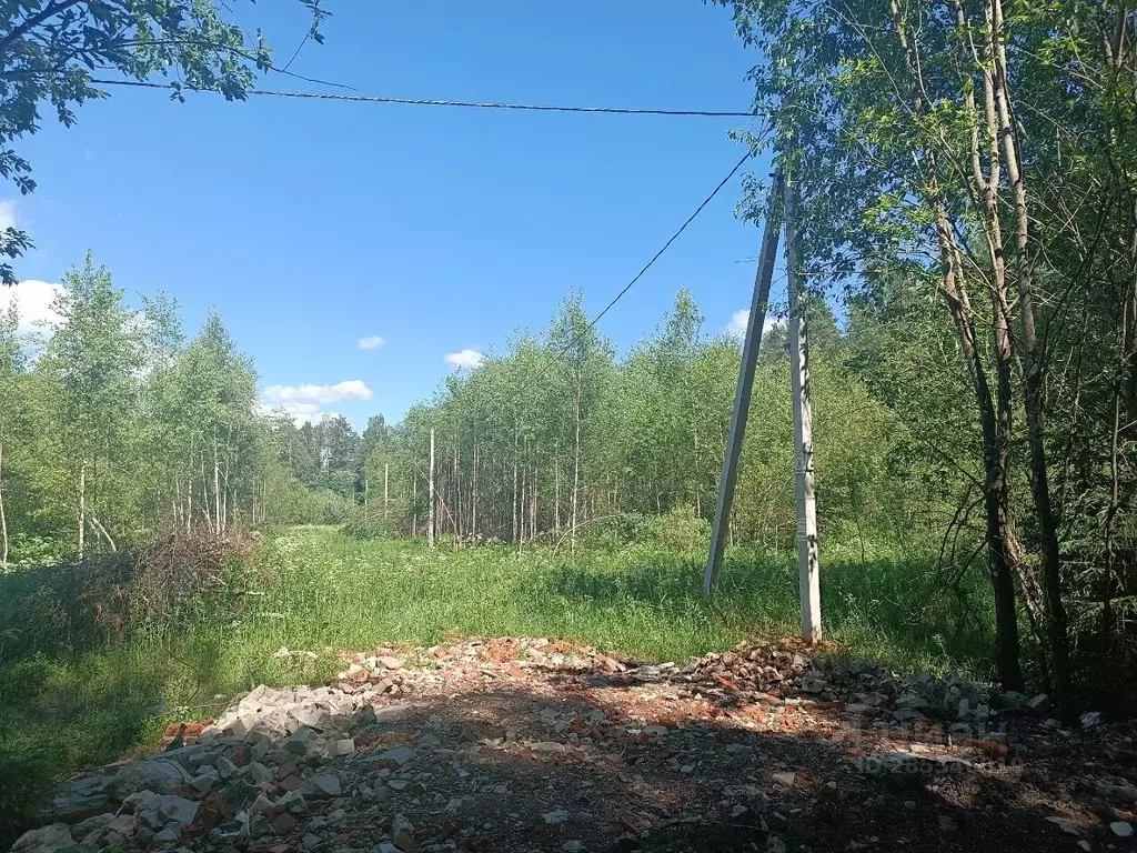 Участок в Новгородская область, Новгородский район, Савинское с/пос, ... - Фото 0