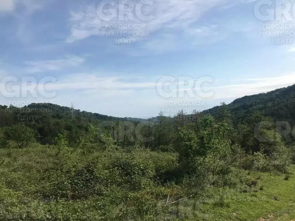Участок в Краснодарский край, Сочи городской округ, с. Липники, ... - Фото 1