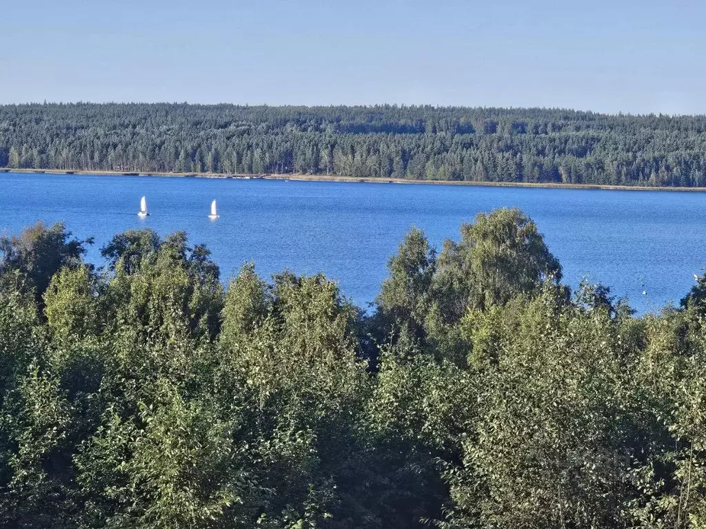 Участок в Ленинградская область, Приозерский район, Петровское с/пос  ... - Фото 2