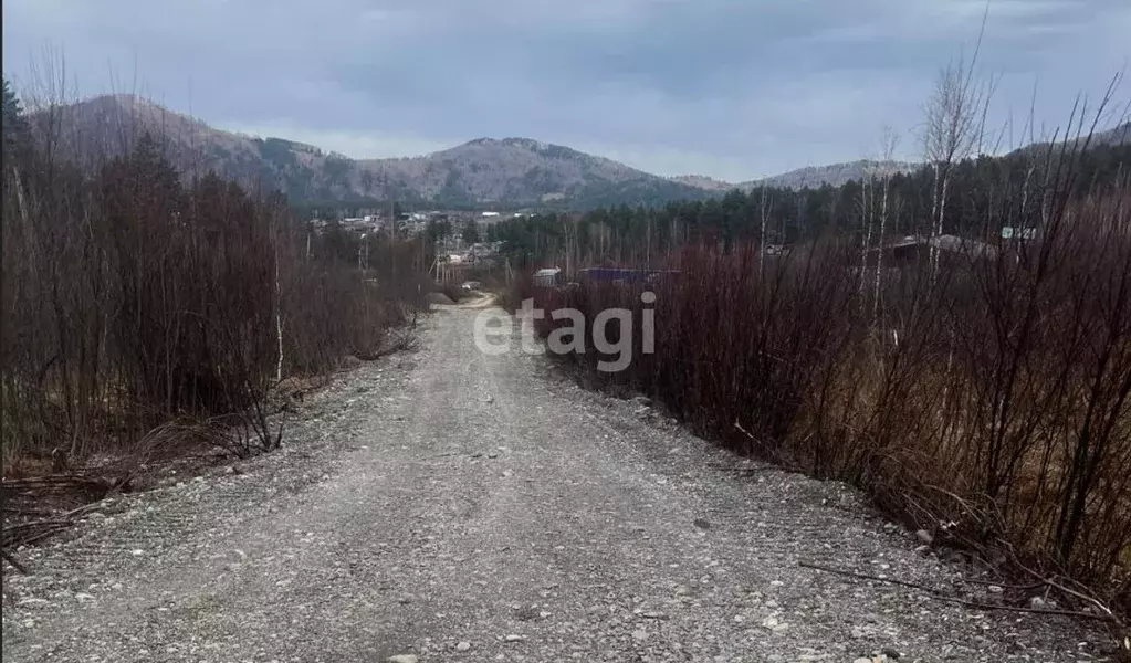 Участок в Алтай, Майминский район, с. Озерное  (10.0 сот.) - Фото 1