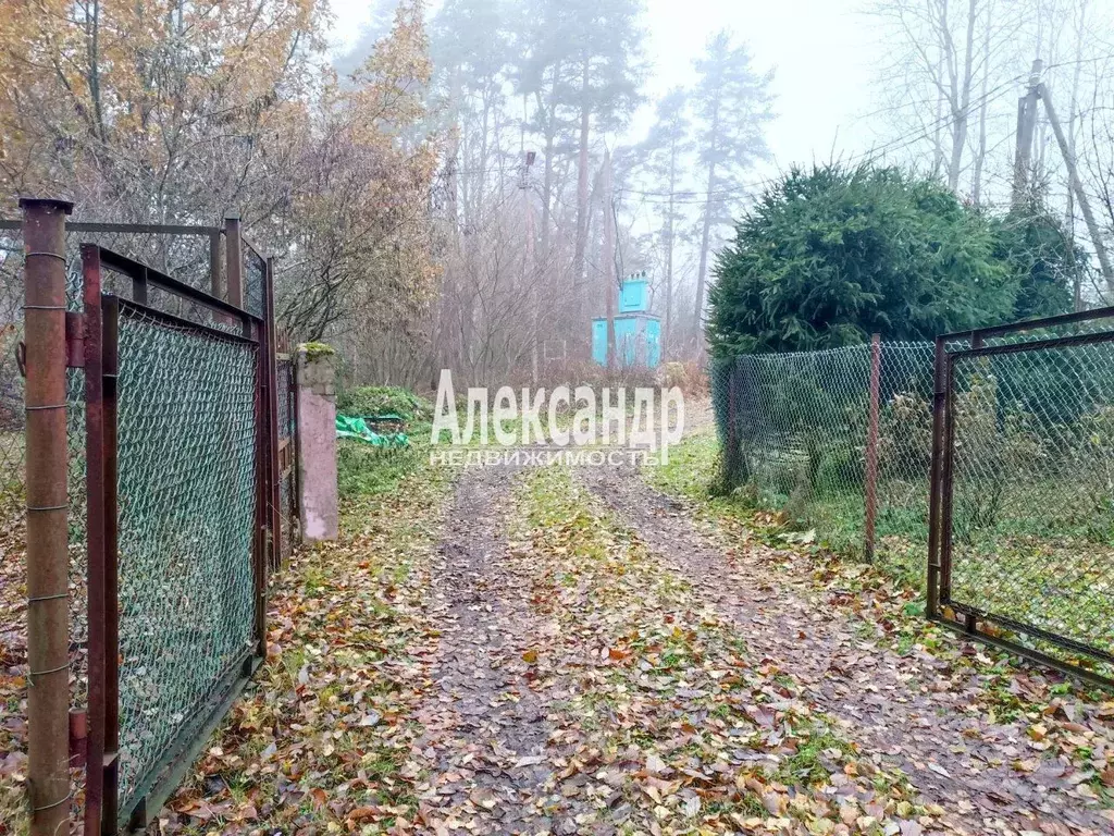 Участок в Ленинградская область, Выборгский район, Селезневское с/пос, ... - Фото 1