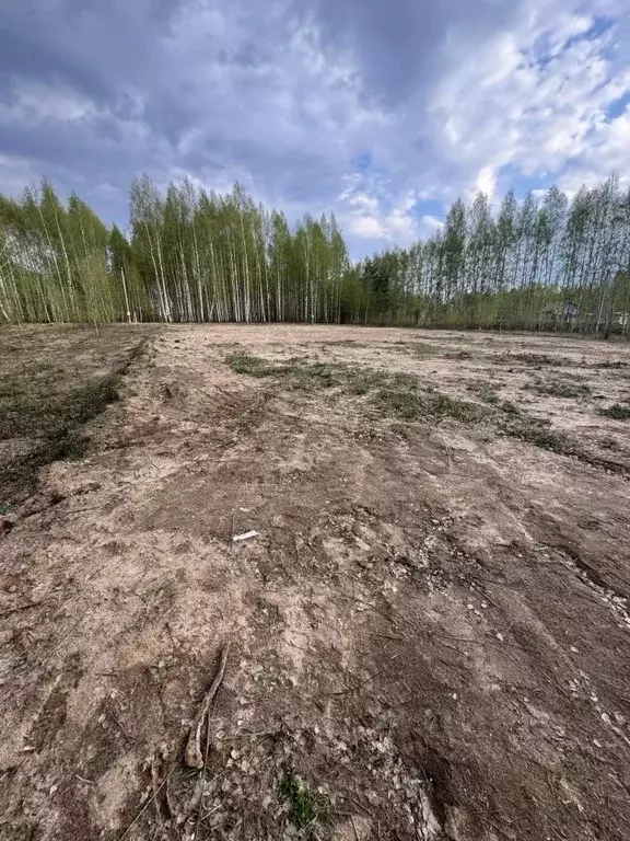 Участок в Нижегородская область, Чкаловск муниципальный округ, д. ... - Фото 2
