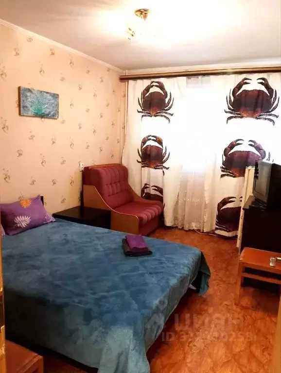 Комната Санкт-Петербург ул. Есенина, 14К2 - Фото 0