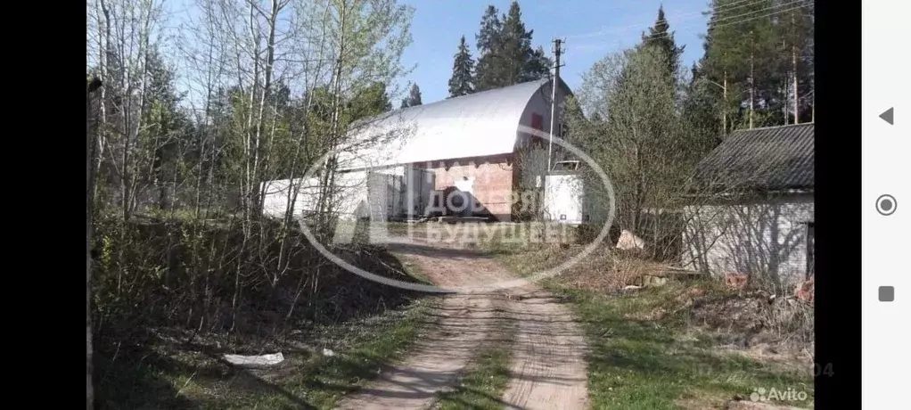 Производственное помещение в Пермский край, Добрянка ул. Розы ... - Фото 2