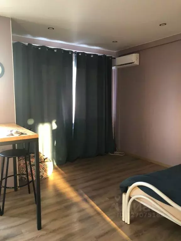 Студия Московская область, Богородский городской округ, д. Щемилово ... - Фото 2