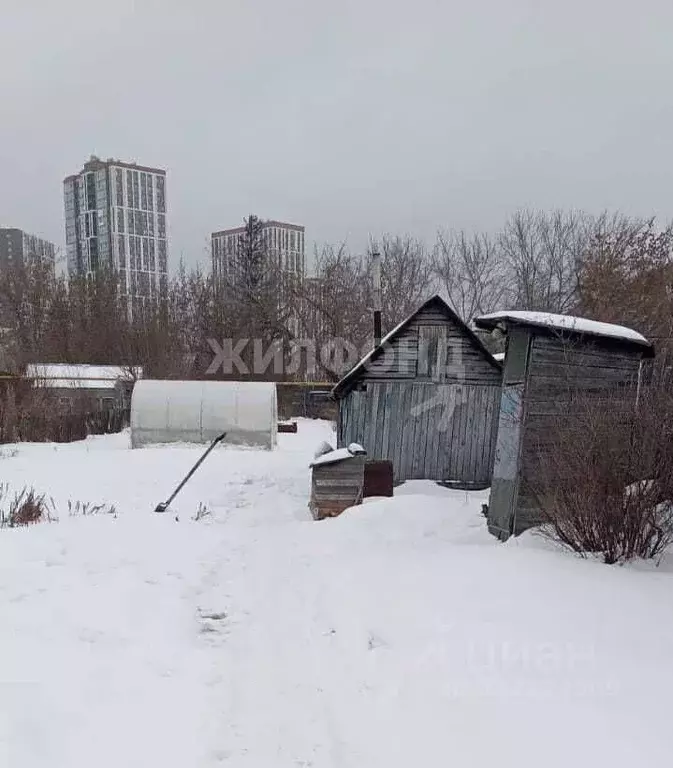 Дом в Новосибирская область, Новосибирск 2-я Шоссейная ул. (36 м) - Фото 1