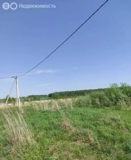 Участок в Судогодский район, муниципальное образование Муромцевское ... - Фото 0