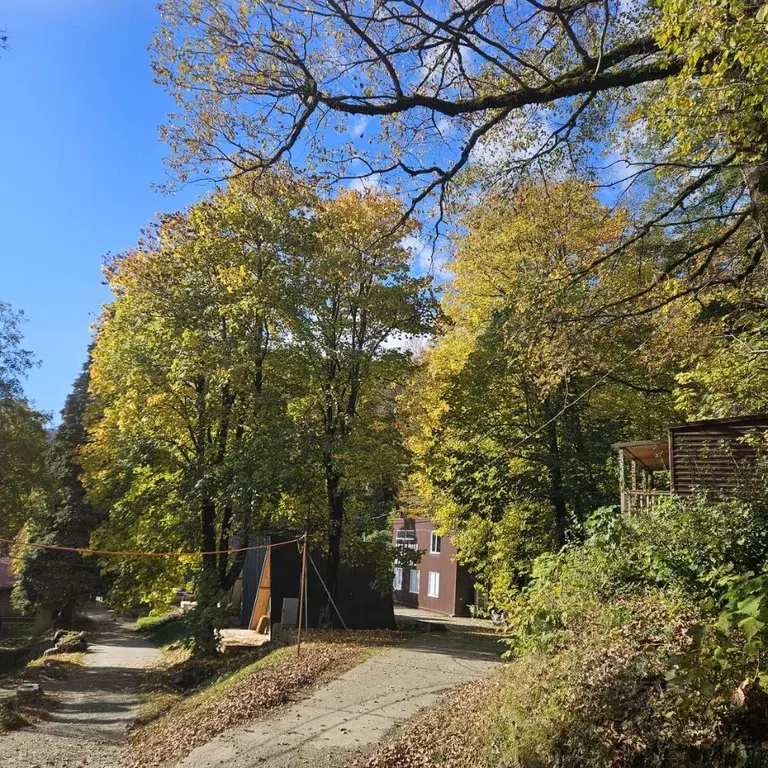 Коттедж в Краснодарский край, Сочи Красная Поляна пгт, ул. Защитников ... - Фото 1