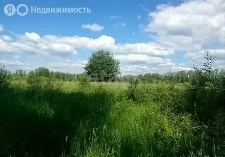 Участок в Пермский муниципальный округ, квартал Придорожный, ... - Фото 2