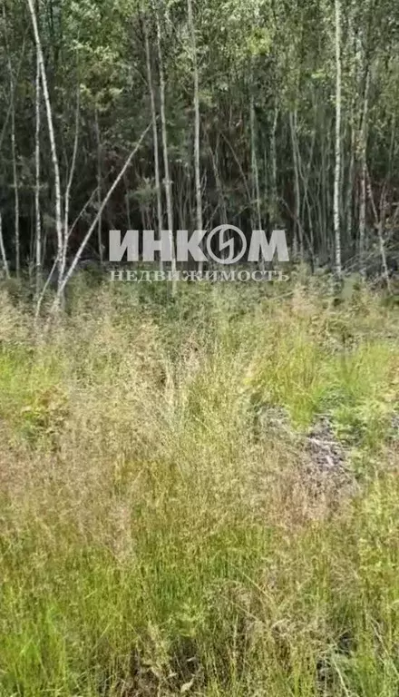 Участок в Московская область, Раменский муниципальный округ, Фенино ... - Фото 1