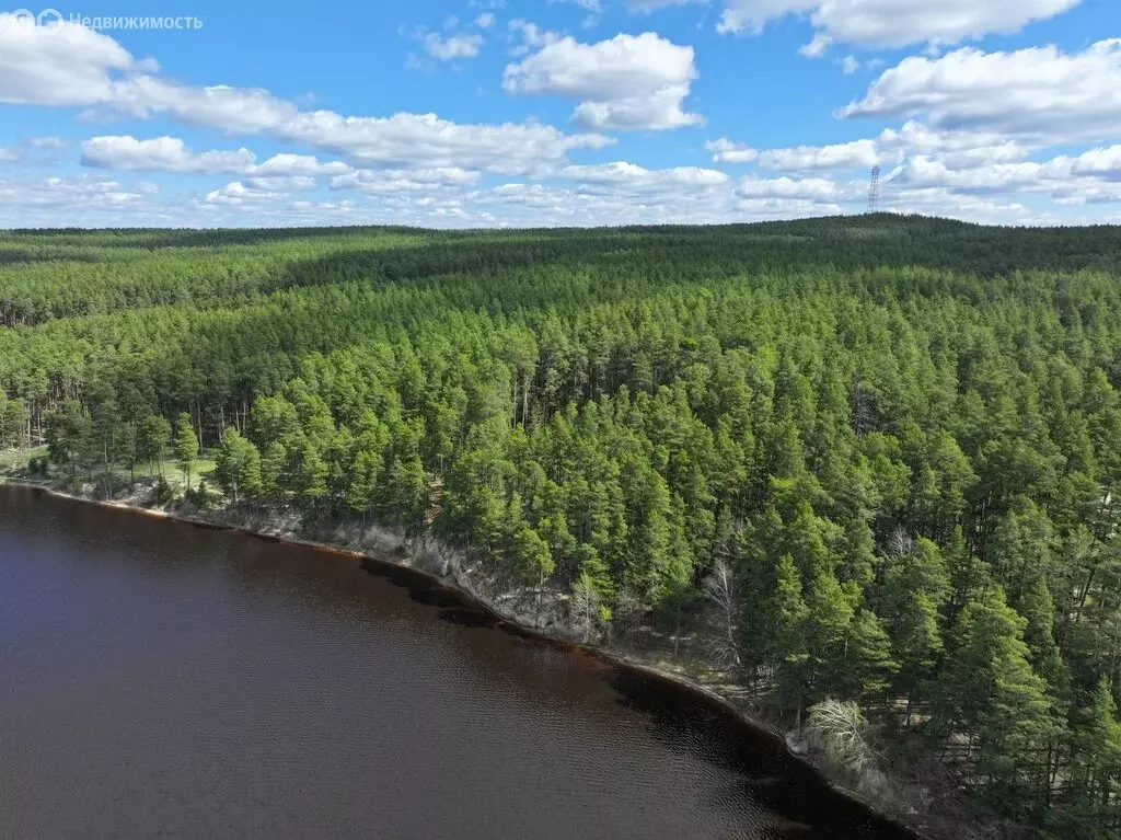 Участок в Свердловская область, Сысертский муниципальный округ, село ... - Фото 1