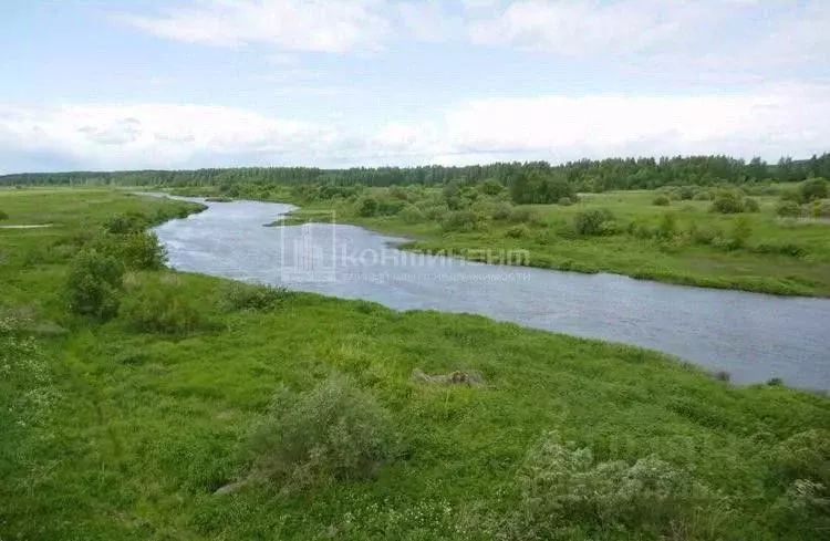 Участок в Владимирская область, Суздальский район, Боголюбовское ... - Фото 1