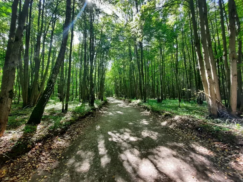 Участок в Тульская область, Заокский район, Страховское с/пос, д. ... - Фото 1