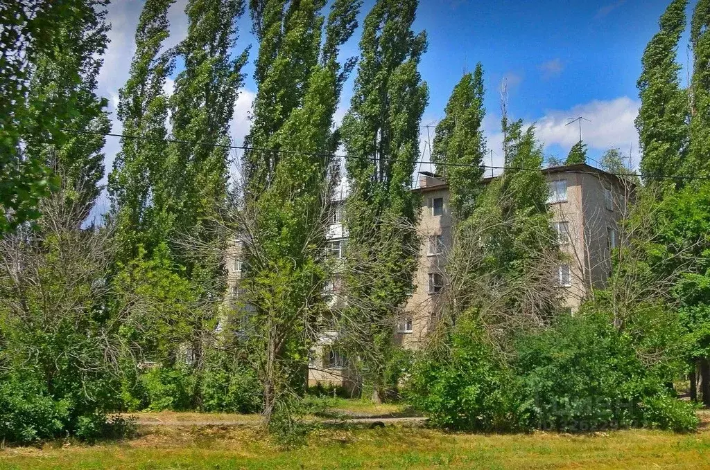 1-к кв. Воронежская область, Воронеж ул. Майская, 27 (30.2 м) - Фото 2