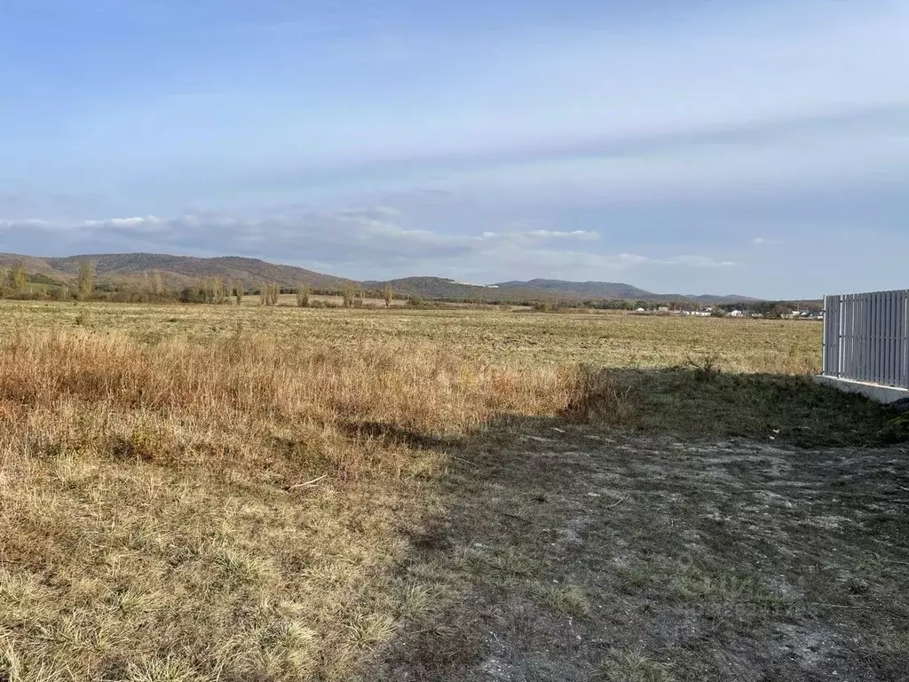 Участок в Краснодарский край, Новороссийск городской округ, ... - Фото 1