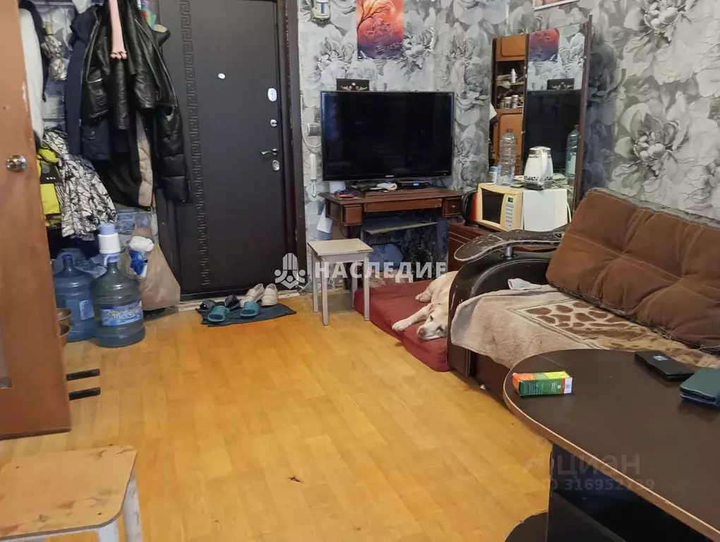 Комната Ростовская область, Каменск-Шахтинский ул. Желябова (23.0 м) - Фото 1