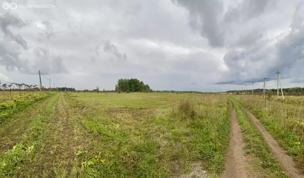 Участок в деревня Стеклофилины, Луговая улица (49 м) - Фото 2