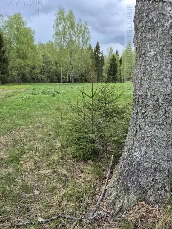Участок в Ивановская область, Иваново ул. Батурина, 6/40 (100.0 сот.) - Фото 2