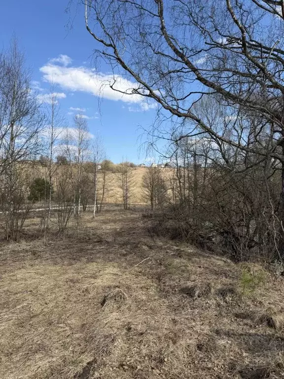 Участок в Тульская область, Заокский район, Малаховское с/пос, Усадьба ... - Фото 2