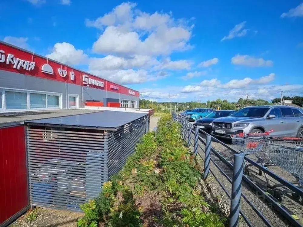 Торговая площадь в Московская область, Истра муниципальный округ, д. ... - Фото 1