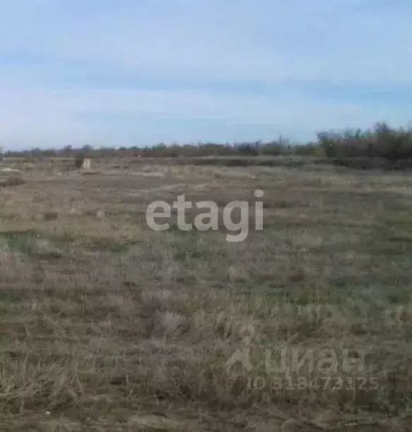 Участок в Воронежская область, Воронеж ул. Солдатское Поле (9.2 сот.) - Фото 0