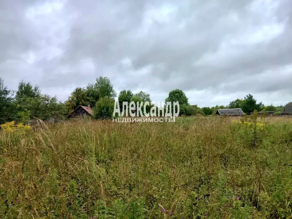Участок в Ленинградская область, Волховский район, Вындиноостровское ... - Фото 1