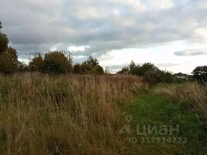 Участок в Псковская область, Псковский район, Тямшанская волость, д. ... - Фото 2